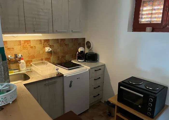 公寓 Skyline 伊万尼察